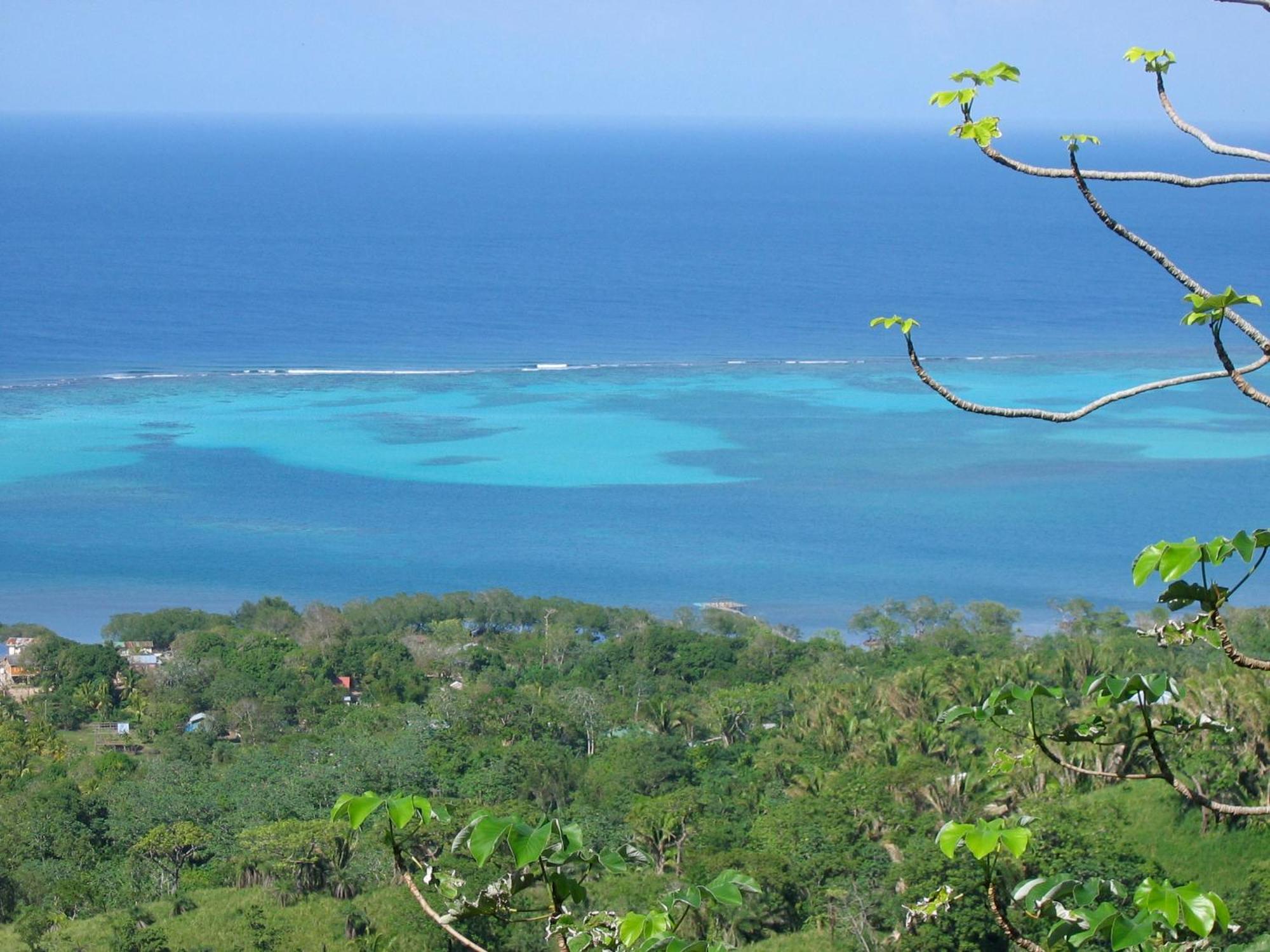 Roatan Bed & Breakfast Apartments West End Dış mekan fotoğraf