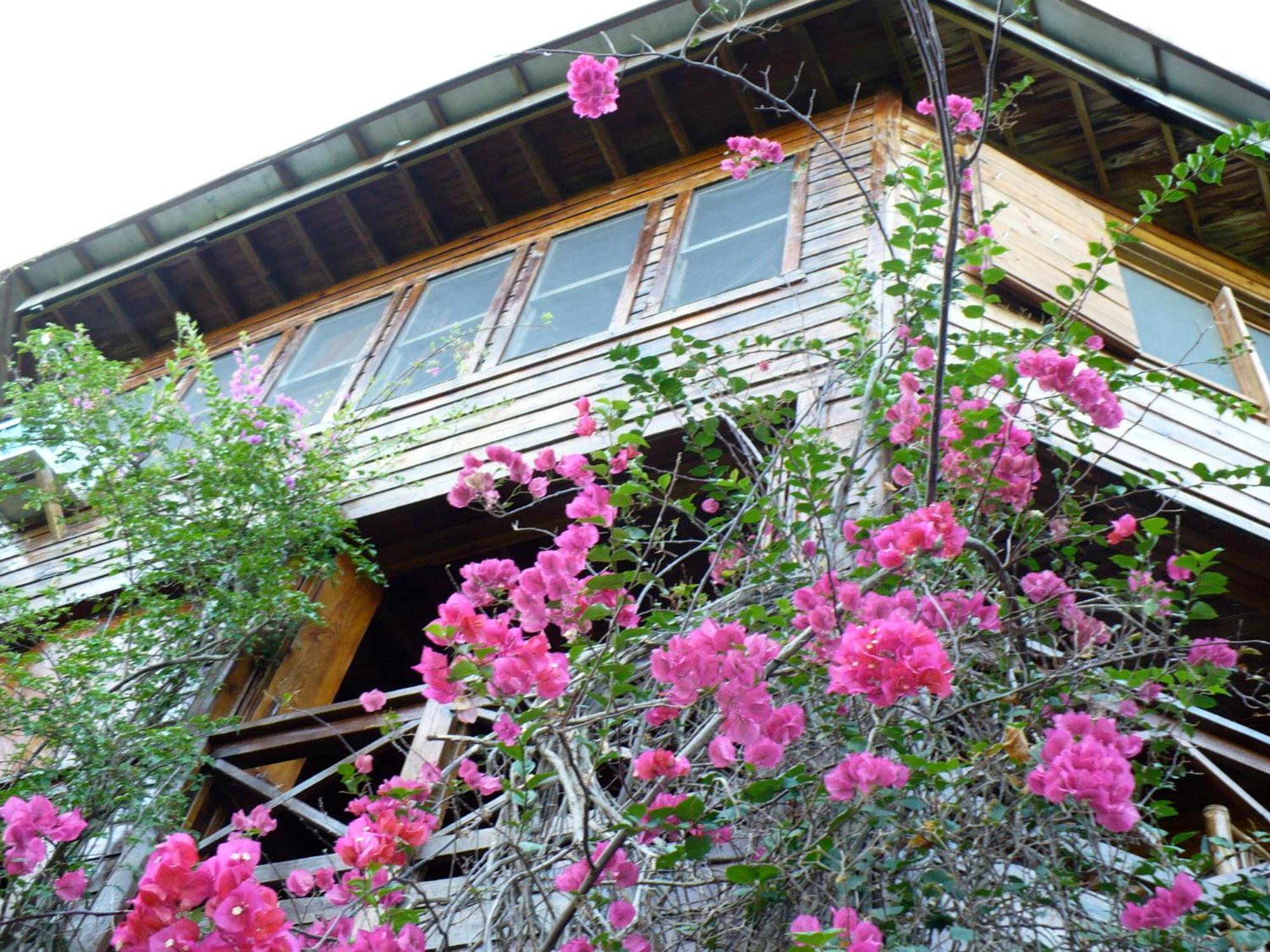 Roatan Bed & Breakfast Apartments West End Dış mekan fotoğraf