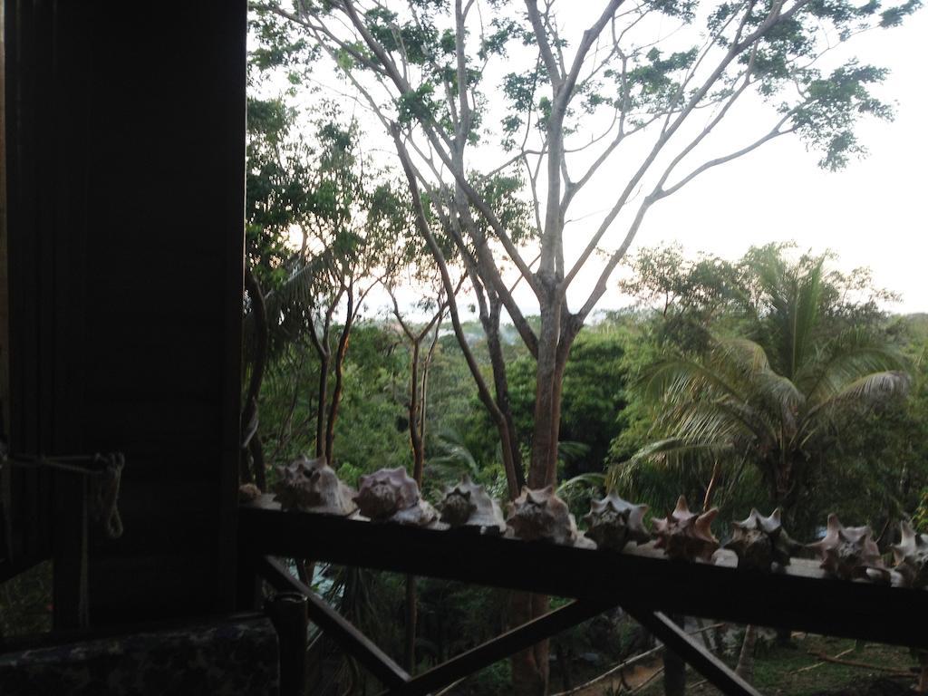 Roatan Bed & Breakfast Apartments West End Dış mekan fotoğraf
